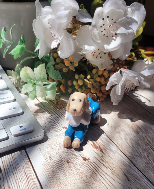 Front side of Dog Miniature